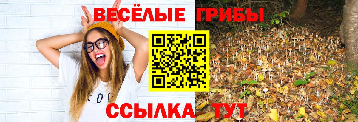 Галлюциногенные грибы мицелий Губаха